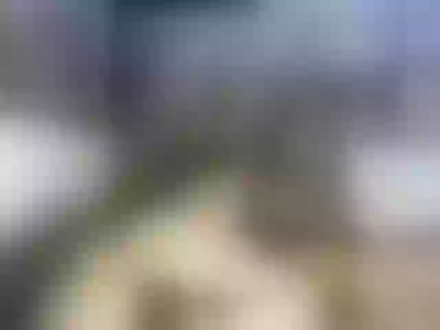 Live sex webcam photo for Youcoupwarroi #277383015