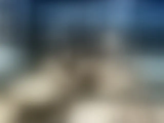 Live sex webcam photo for Youcoupwarroi #277764873