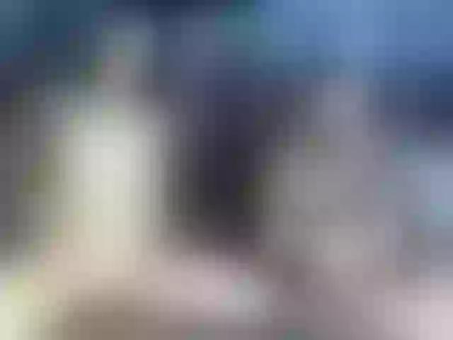 Live sex webcam photo for Youcoupwarroi #277886782