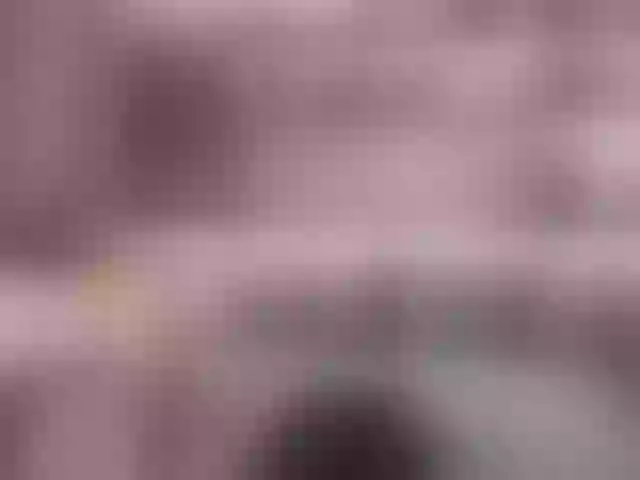 Live sex webcam photo for Youlalia #291549066