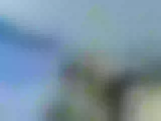 Live sex webcam photo for Youngsee69 #292037526
