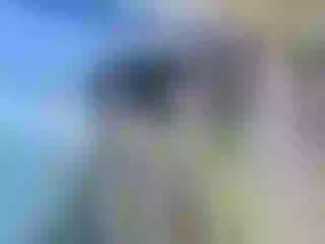 Live sex webcam photo for Youngsee69 #292070472