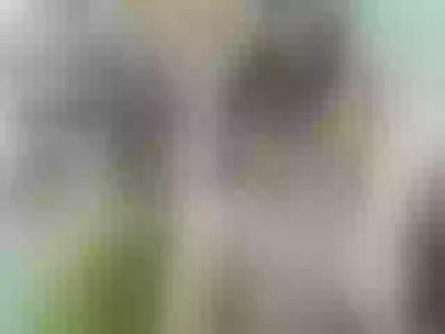 Live sex webcam photo for Youngsee69 #292294782
