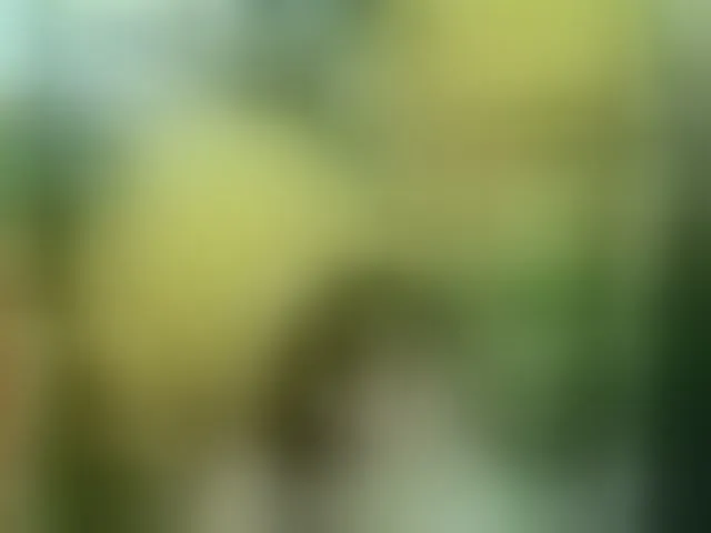 Live sex webcam photo for Youngsee69 #292500755