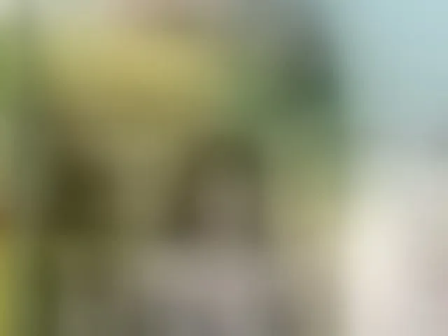 Live sex webcam photo for Youngsee69 #292935588