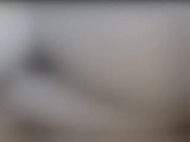 Live sex webcam photo for YourDesire36 #291851840