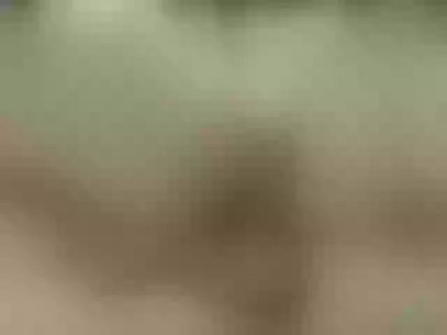 Live sex webcam photo for YourMariya #277370422
