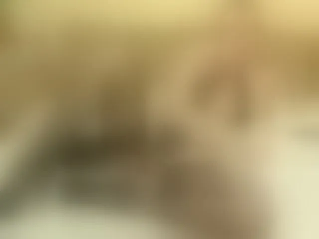 Live sex webcam photo for YourXQueen #293536705