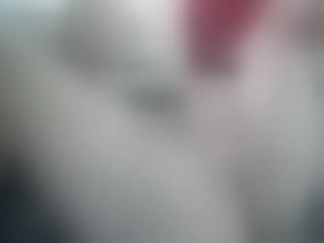 Live sex webcam photo for Yoursex2022 #293195470