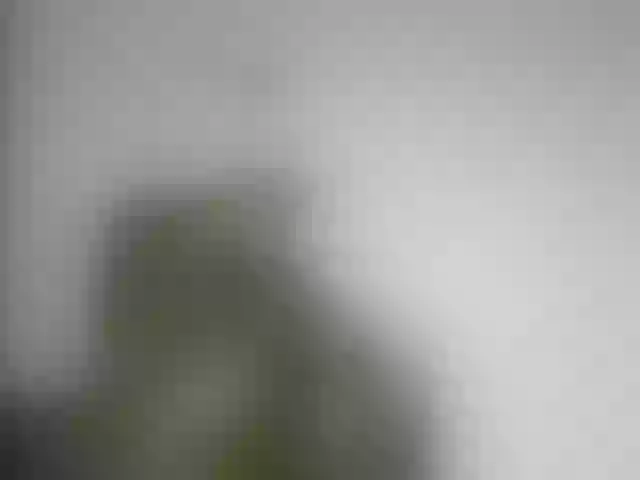 Live sex webcam photo for YumTam #292291081