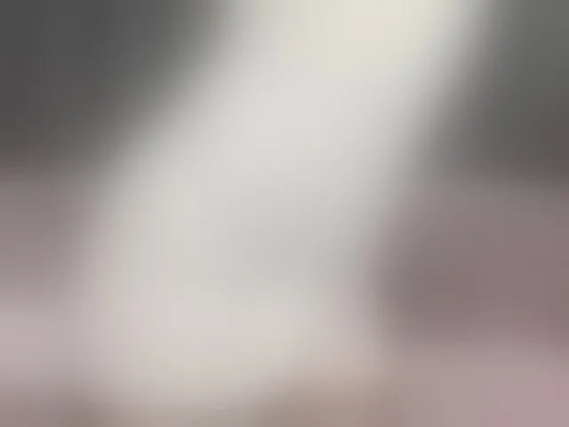Live sex webcam photo for Yumii #293457576