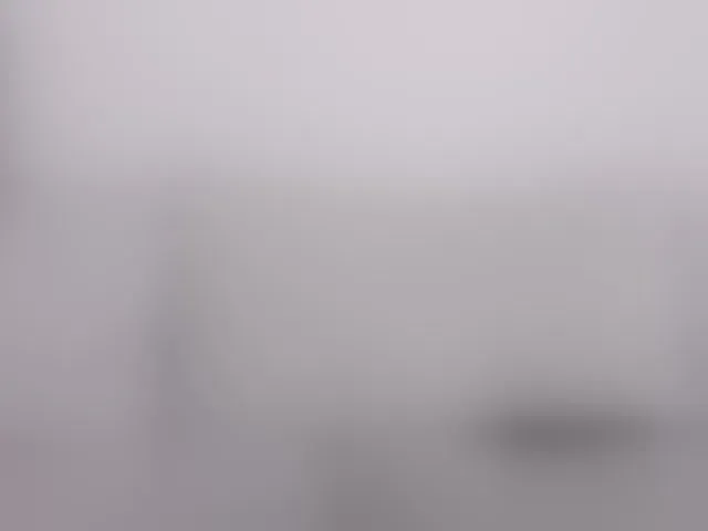 Live sex webcam photo for YunLe #293998531