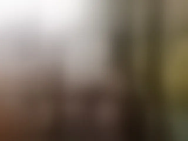 Live sex webcam photo for Zalinka #293967075