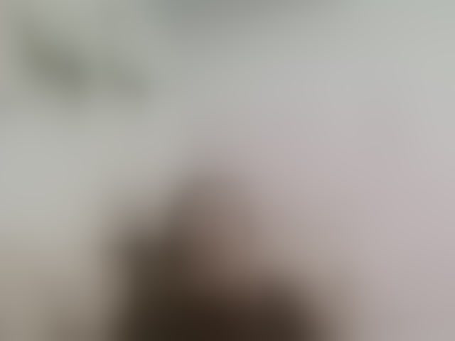 Live sex webcam photo for Zalinka #294005632