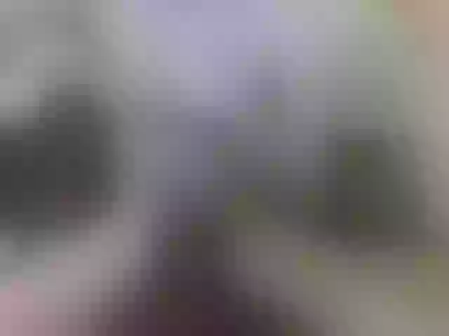 Live sex webcam photo for Zanguardik #290277184