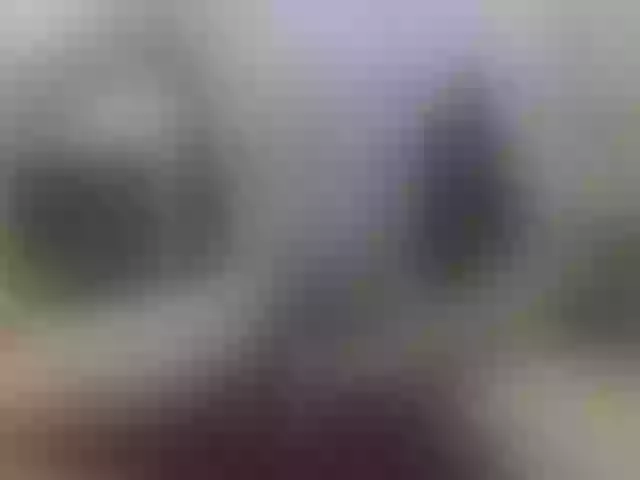 Live sex webcam photo for Zanguardik #290371707