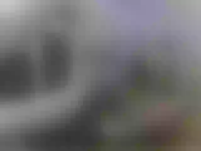 Live sex webcam photo for Zanguardik #290376750