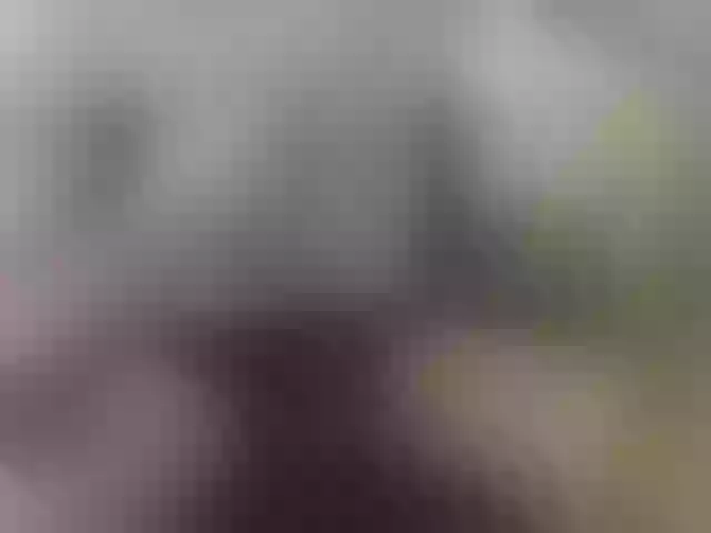 Live sex webcam photo for Zanguardik #290379917