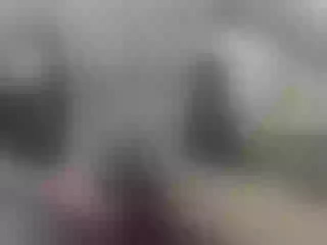 Live sex webcam photo for Zanguardik #290421838