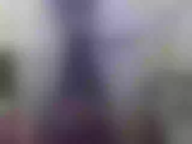 Live sex webcam photo for Zanguardik #290425290