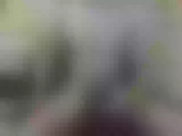 Live sex webcam photo for Zanguardik #290604211
