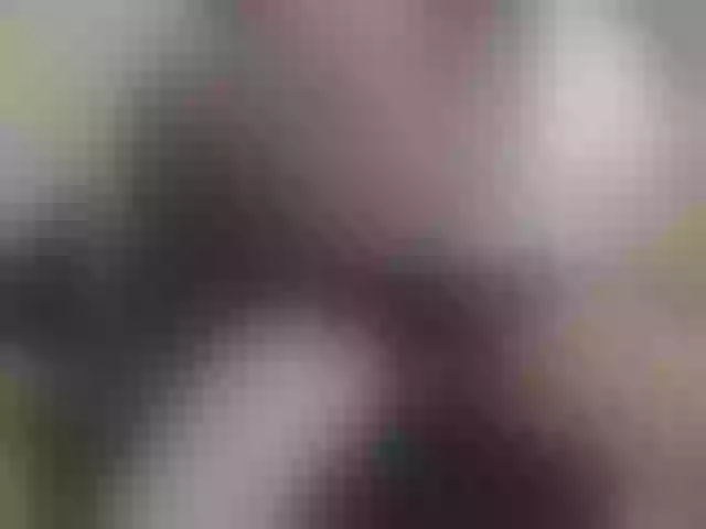 Live sex webcam photo for Zanguardik #290605695