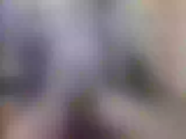 Live sex webcam photo for Zanguardik #290691758