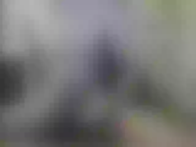Live sex webcam photo for Zanguardik #290713746