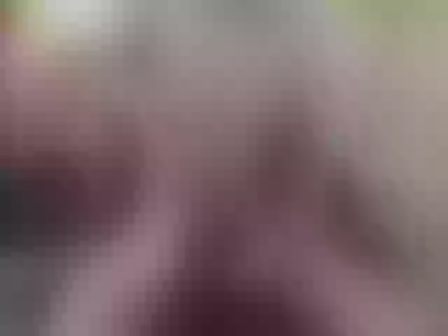 Live sex webcam photo for Zanguardik #290768970