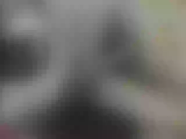 Live sex webcam photo for Zanguardik #290831381