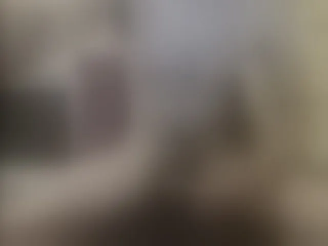 Live sex webcam photo for Zanguardik #291006442