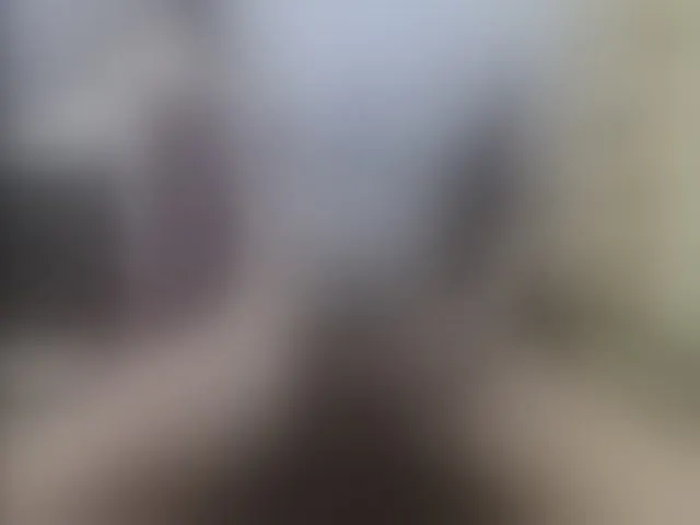 Live sex webcam photo for Zanguardik #291010678