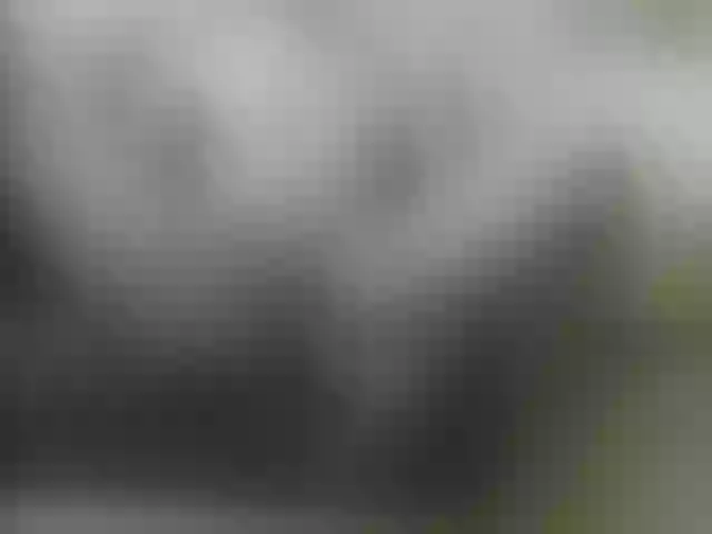 Live sex webcam photo for Zanguardik #291040582