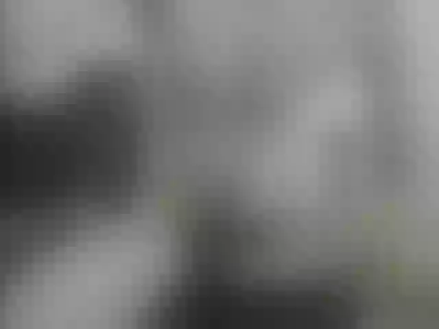 Live sex webcam photo for Zanguardik #291125646