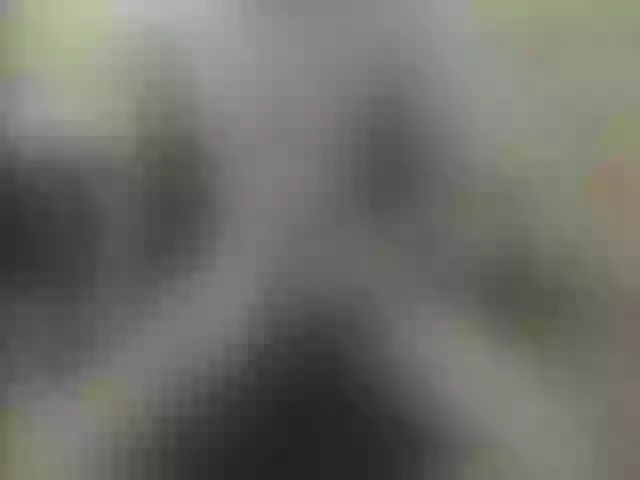 Live sex webcam photo for Zanguardik #291242215