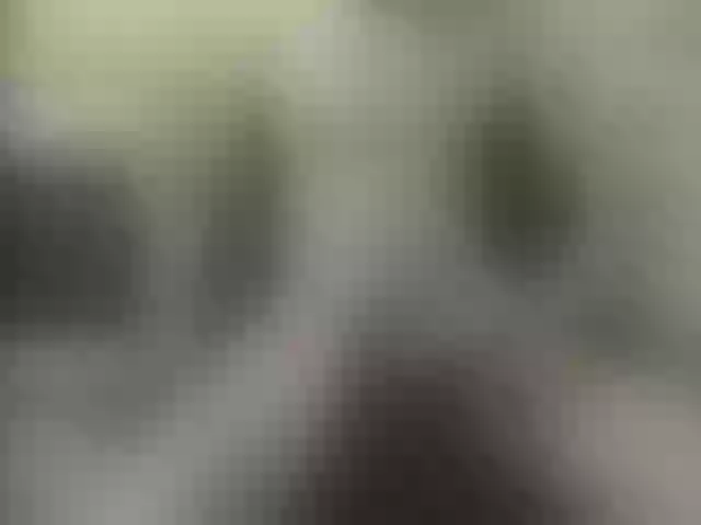 Live sex webcam photo for Zanguardik #291247751