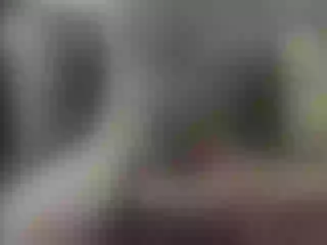 Live sex webcam photo for Zanguardik #291469985