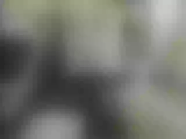 Live sex webcam photo for Zanguardik #291473176