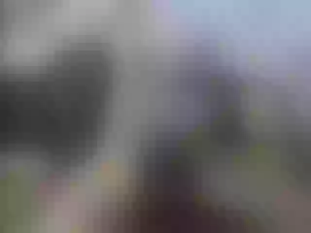Live sex webcam photo for Zanguardik #291801878