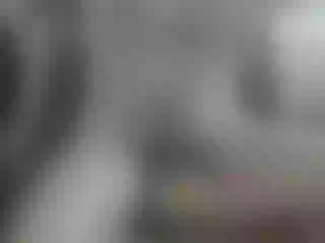 Live sex webcam photo for Zanguardik #291885971