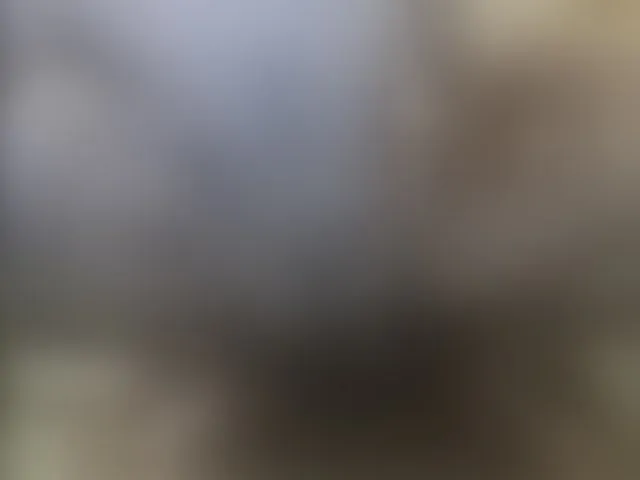 Live sex webcam photo for Zanguardik #292004990
