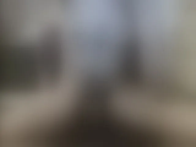 Live sex webcam photo for Zanguardik #292052299