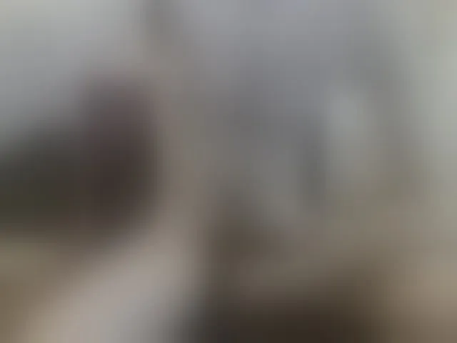 Live sex webcam photo for Zanguardik #292374912