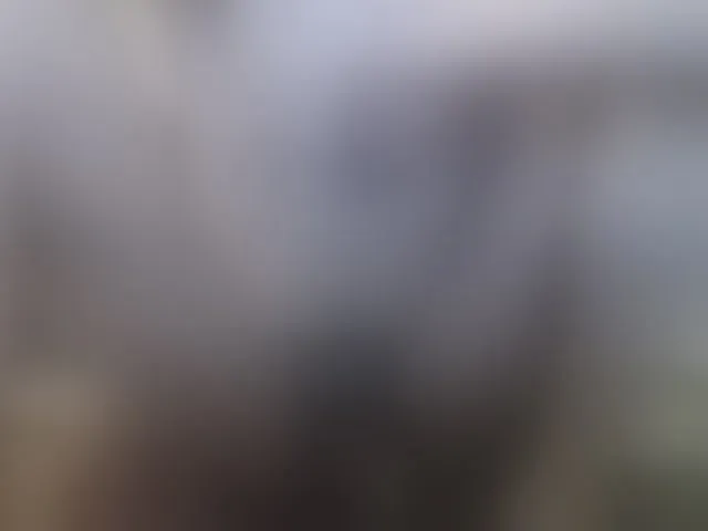 Live sex webcam photo for Zanguardik #292378141