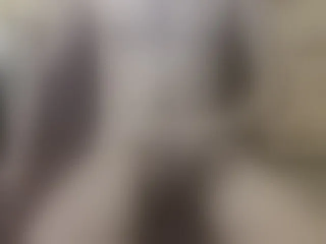 Live sex webcam photo for Zanguardik #292504557
