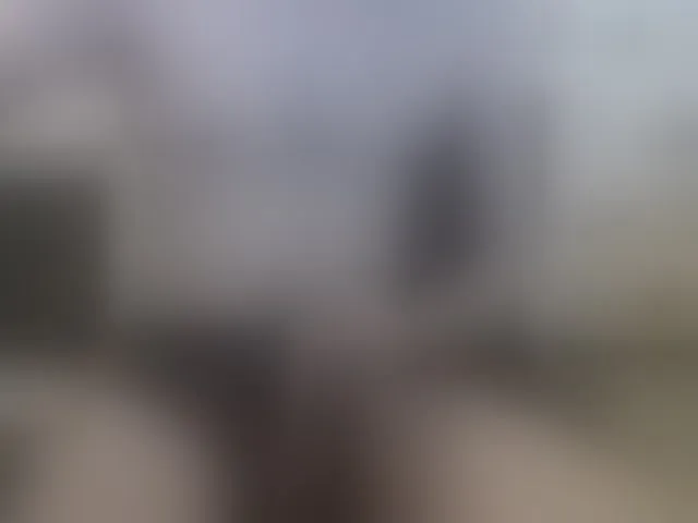 Live sex webcam photo for Zanguardik #292656528