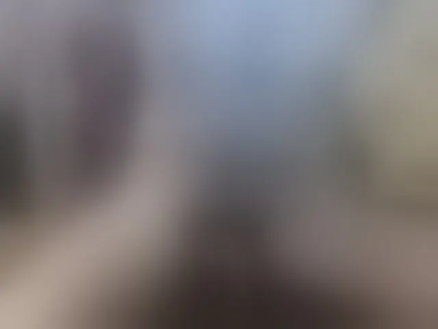 Live sex webcam photo for Zanguardik #292851460