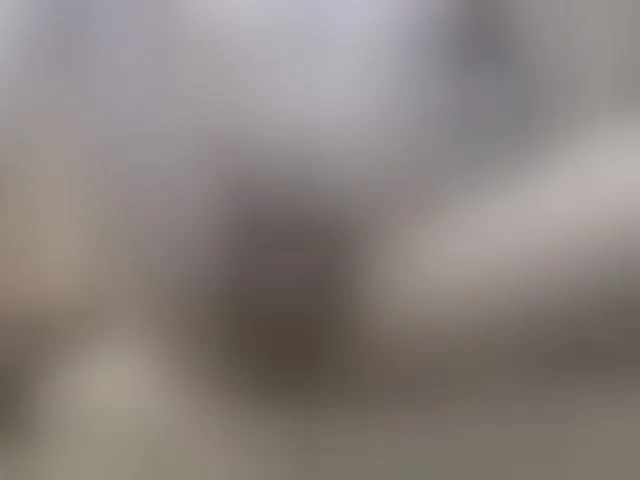 Live sex webcam photo for Zanguardik #293032572