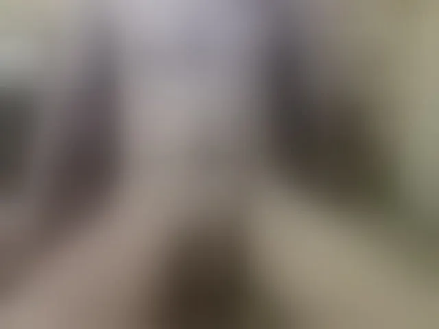 Live sex webcam photo for Zanguardik #293438935