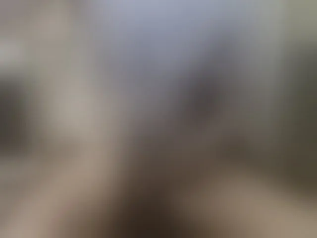 Live sex webcam photo for Zanguardik #293640302